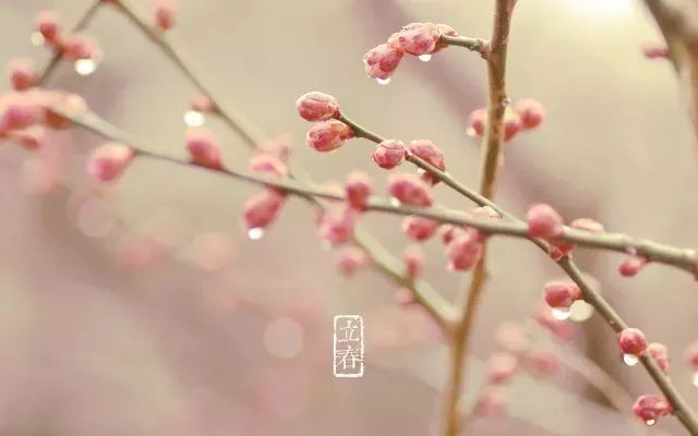 44128bc6d36216433b590c6c40a459c0.jpg 图片